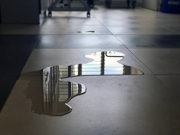 Best Water damage restoration services  in Clayton, AL