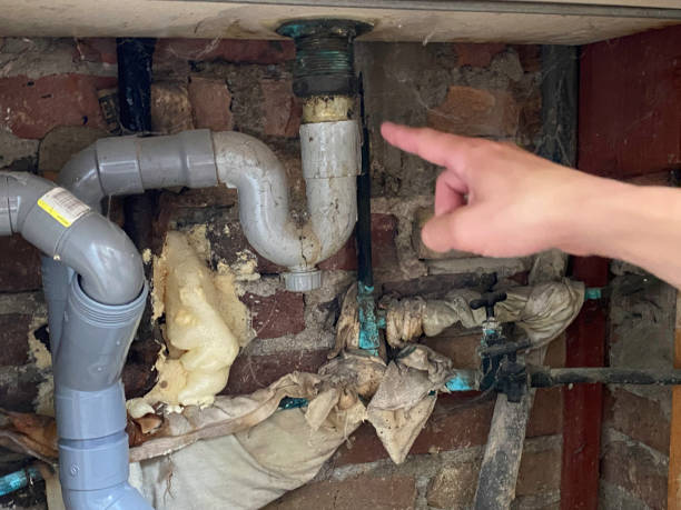 Best Basement water damage restoration  in Clayton, AL
