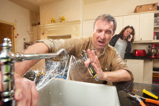 Best Water damage contractors near me  in Clayton, AL